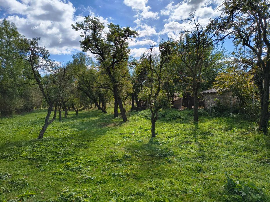 Teren intravilan de vanzare in Fieni (cartier Costesti) - 2000 mp