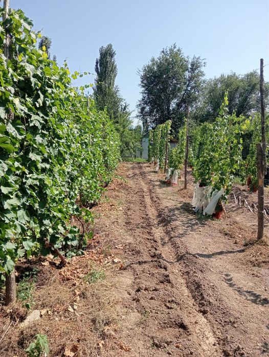 Продам участок с домом