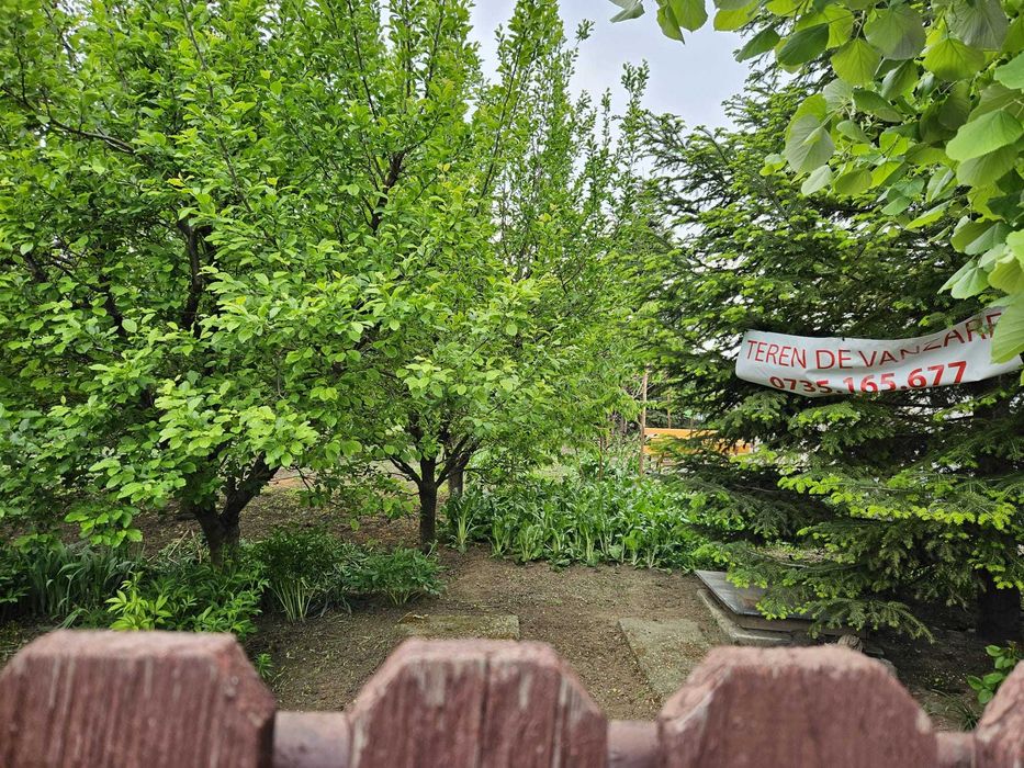 Teren de vănzare