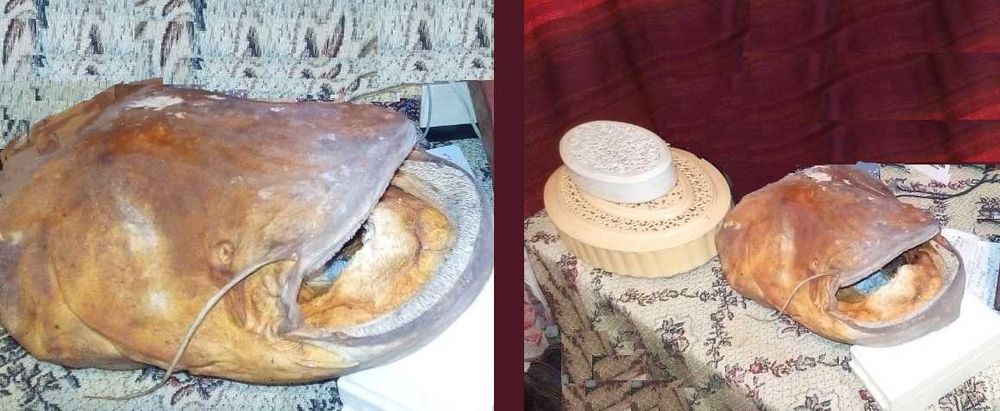 Коллекция антикварных и ретро предметов мужского пользования (из СССР)