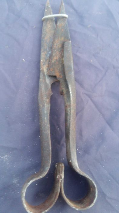 Ножици за стригане на животни