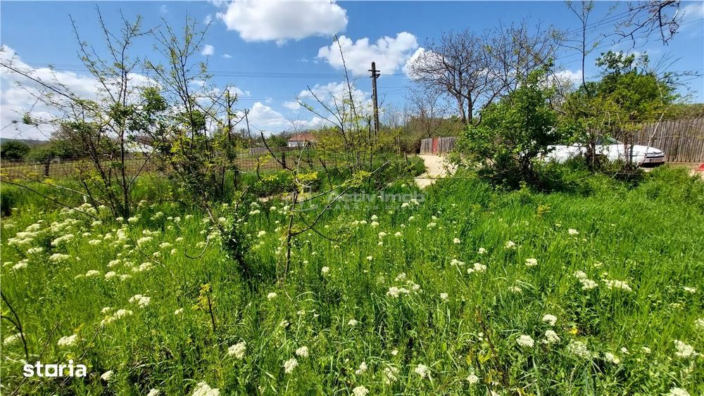Teren intravilan, 509 mp, deschidere 30 m, com. Vernesti