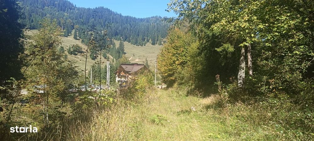 Teren intravilan Ceahlau-Durau