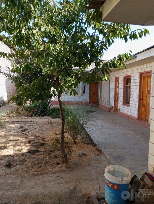 Uchaska yaxshi narxda Yashnobod tumani