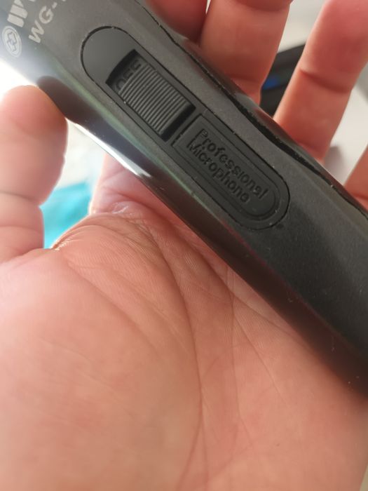 Microfon Profesional