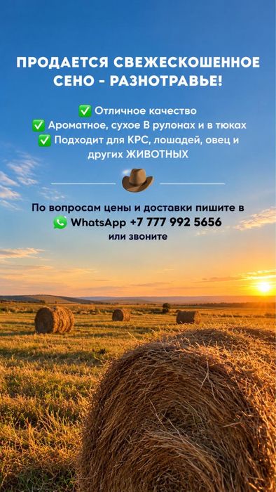 Сено в руллонах и в тюках
