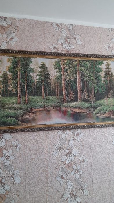 Продам картины и памперсы для взрослых