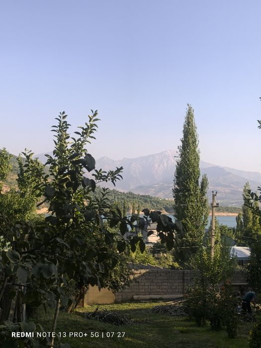 Sijjakda yer sotiladi 6 soʻtix