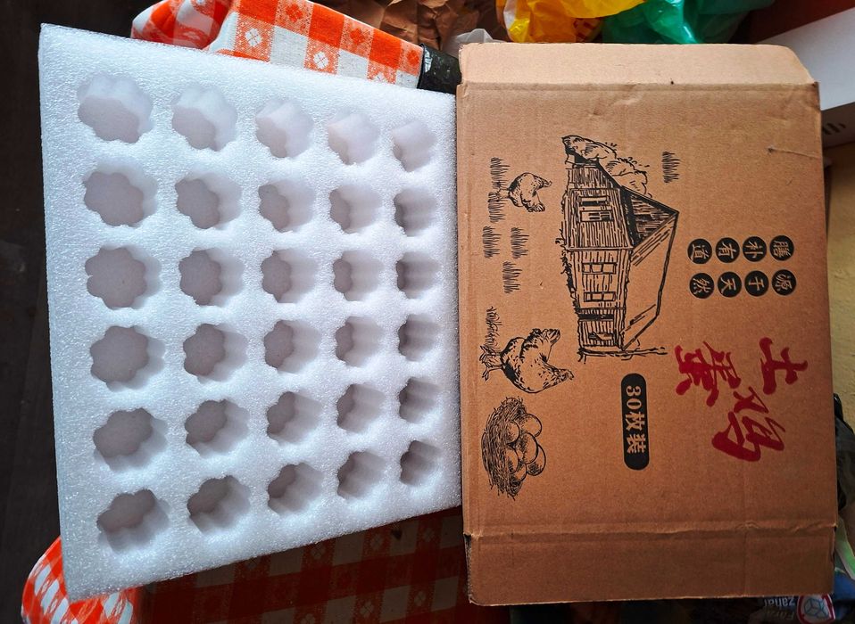 Vand oua incubat Brahma HD - rasa mare