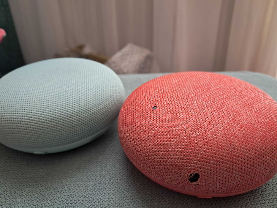 Bocsa google nest mini