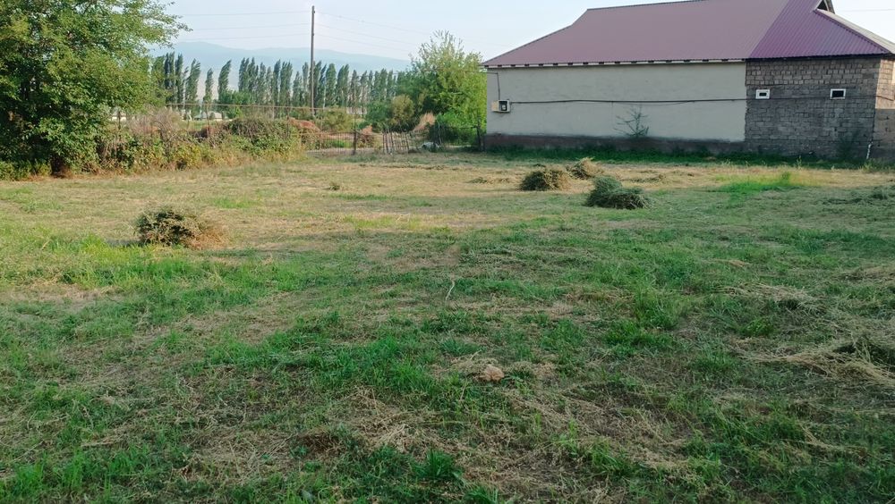 hamma dakumet bor
