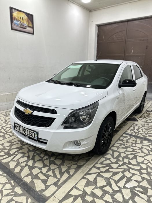 Cobalt MCM midnight 2025-26