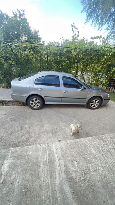 SKODA Octavia 2006 — imagine 5
