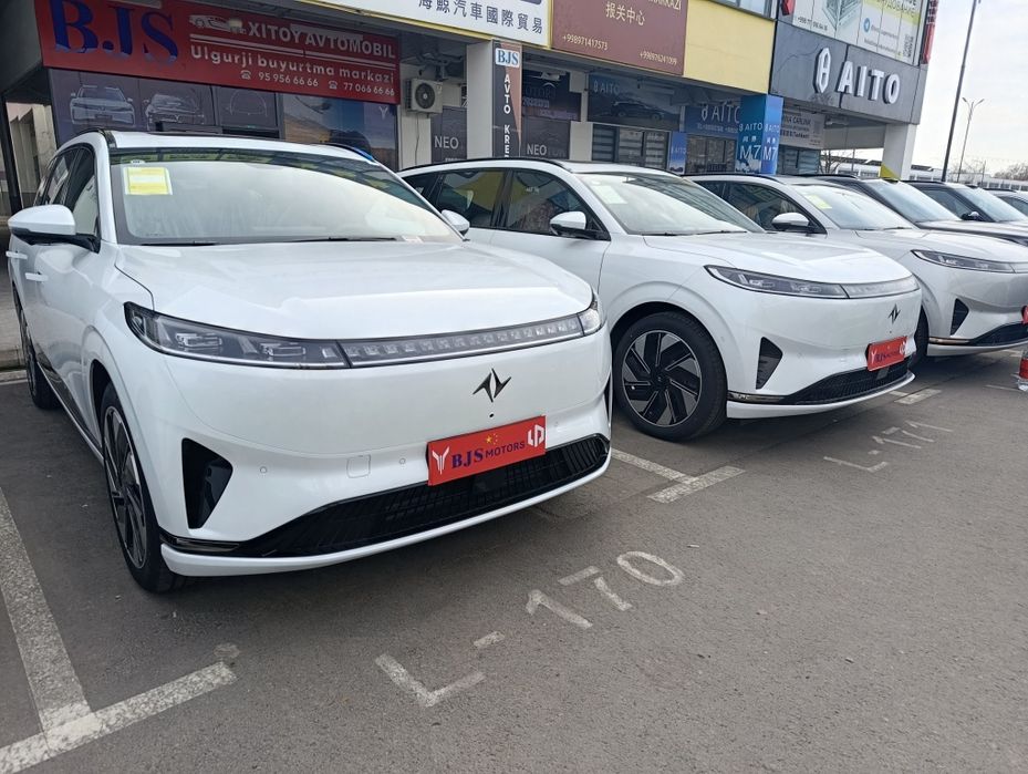 DOMFEN 008 max 2025 gibrit