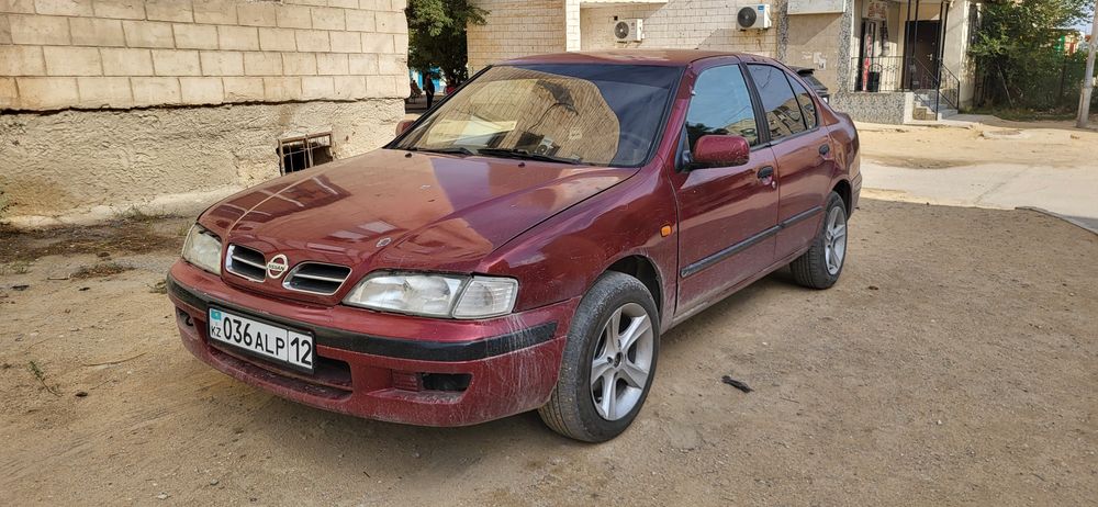 Nissan premiera P11