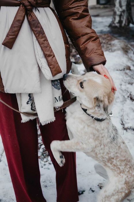 Белоснежка ищет дом