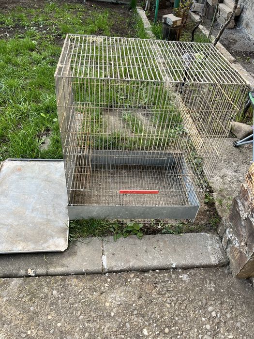 Cusca pentru chinchilla