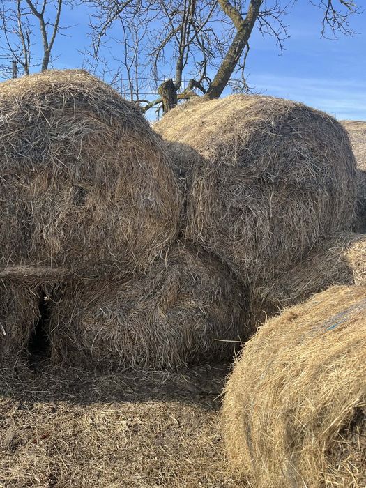 Vând baloți de fân