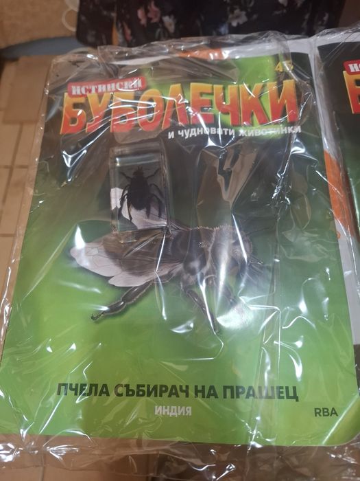 Списание Буболечки