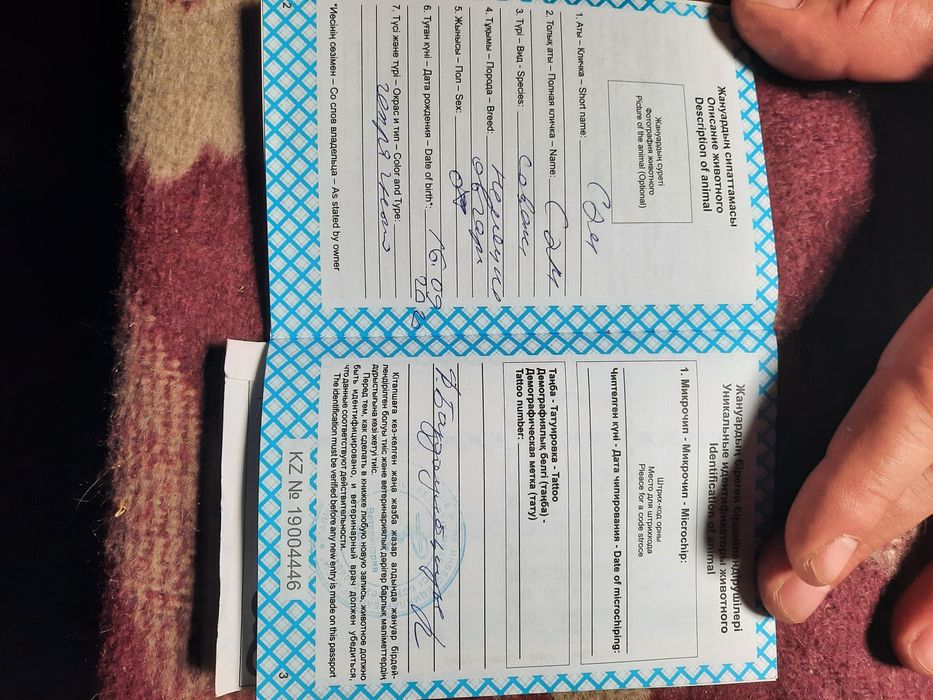 Продам  кобеля немецкой овчарки.
