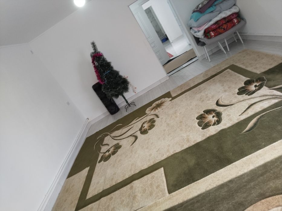 Жанадан салынган сарай жалданады