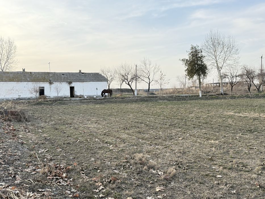 Daryo boyida bino inshoat va yer