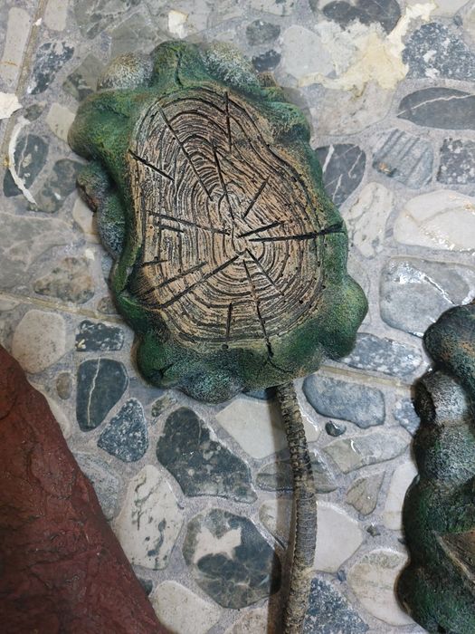 Pietre incalzitoare terariu