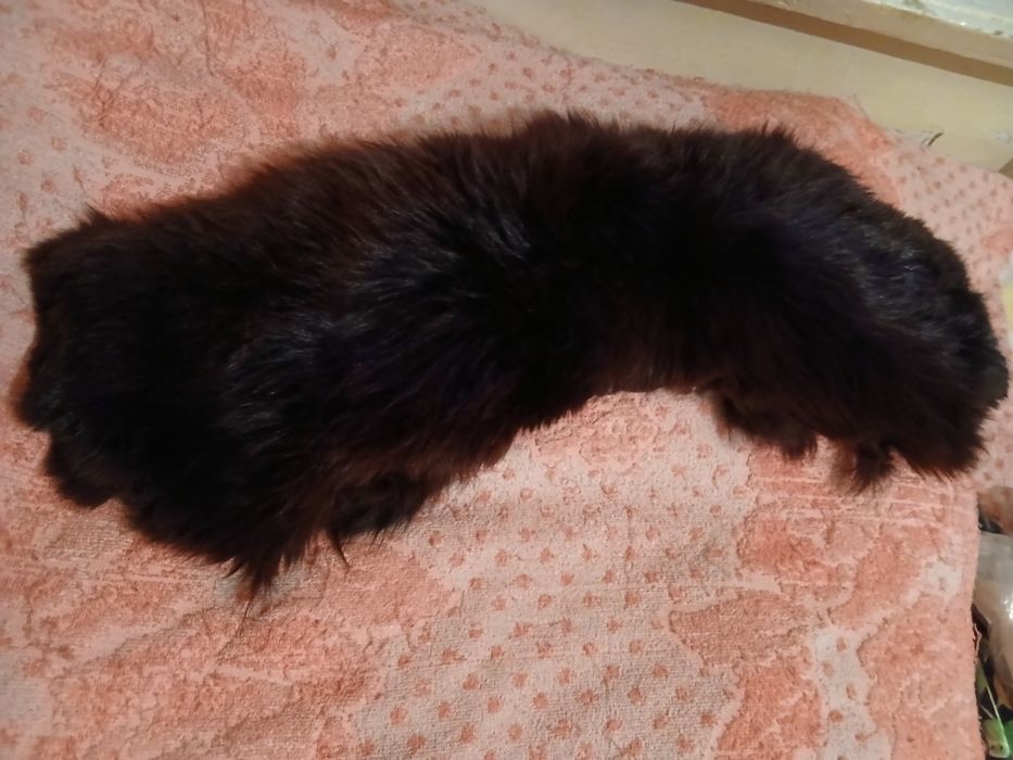 Шапка и воротник мужская .