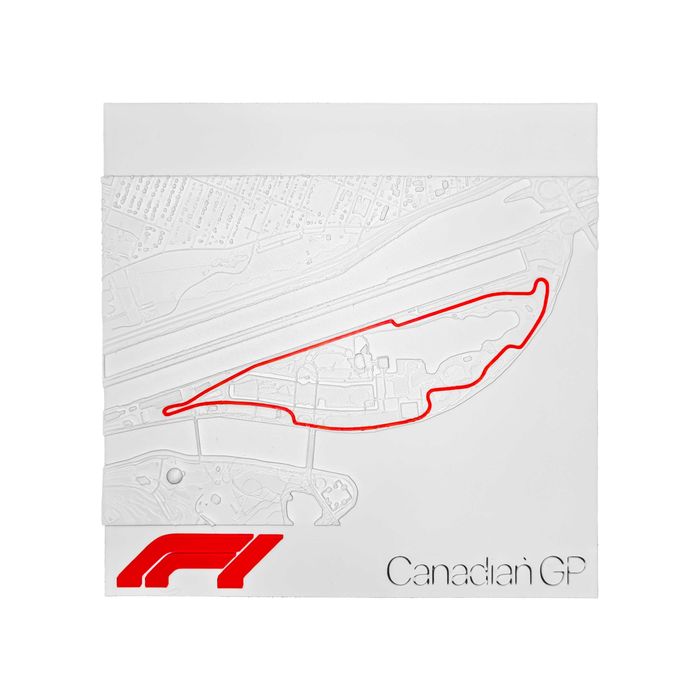 Formula 1 Tablou Printat 3d Cadou Craciun