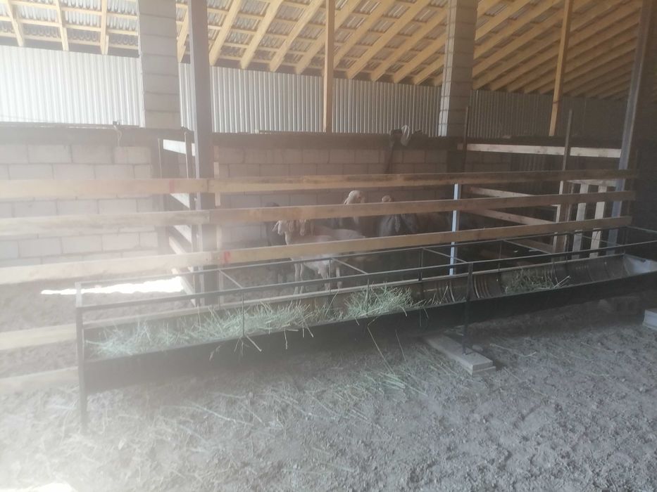 Астау кормушка науа