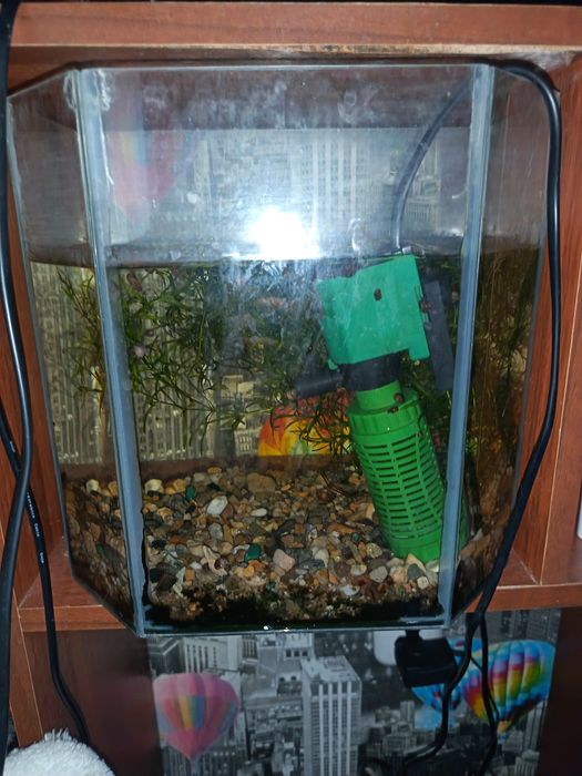 Аквариум ромбовидный