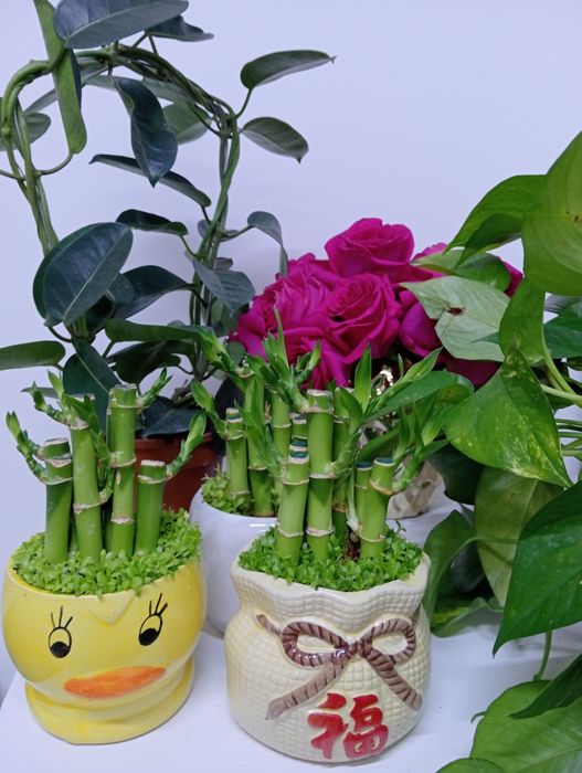 Уютные и Красивые для Вас