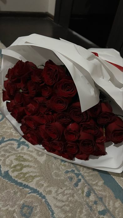 ….                    ……