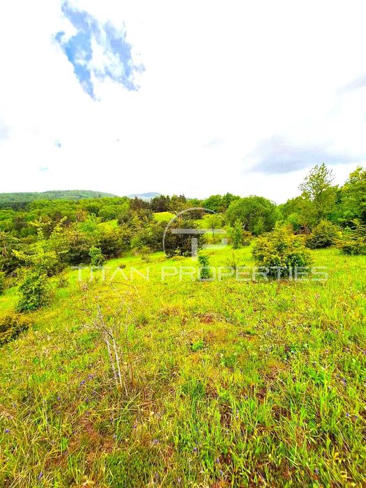 Продава се Парцел в Асеновград - 4700 кв.м за 24 €/кв.м - Снимка #2