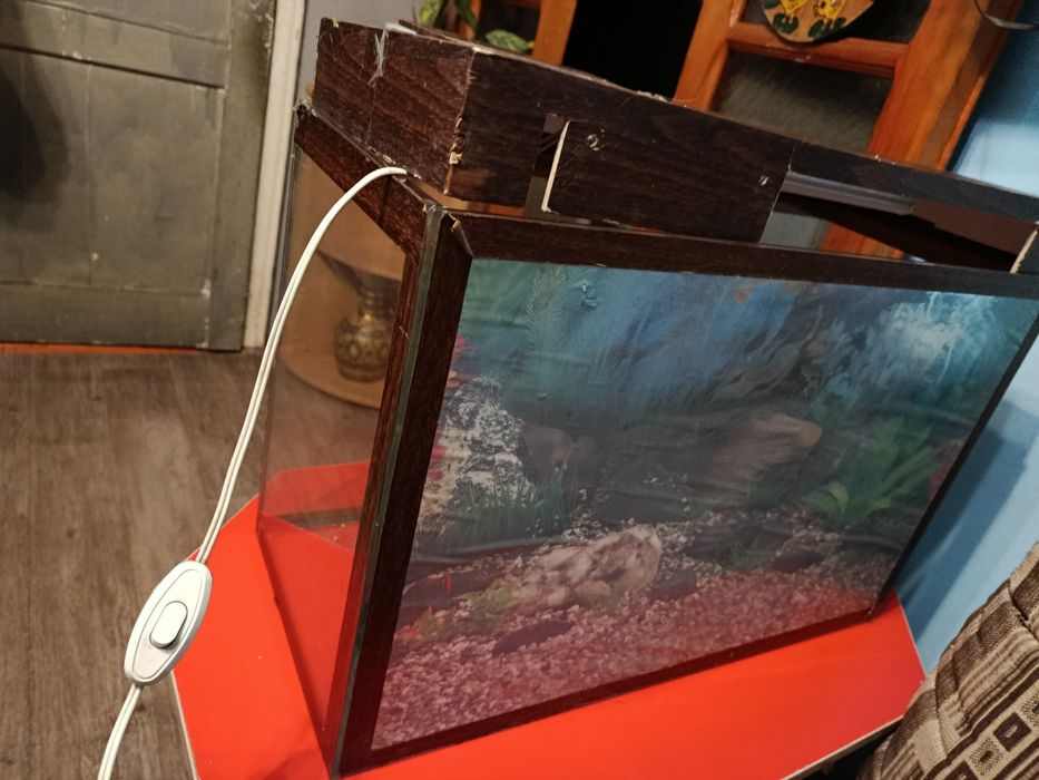 Аквариум для рыбок