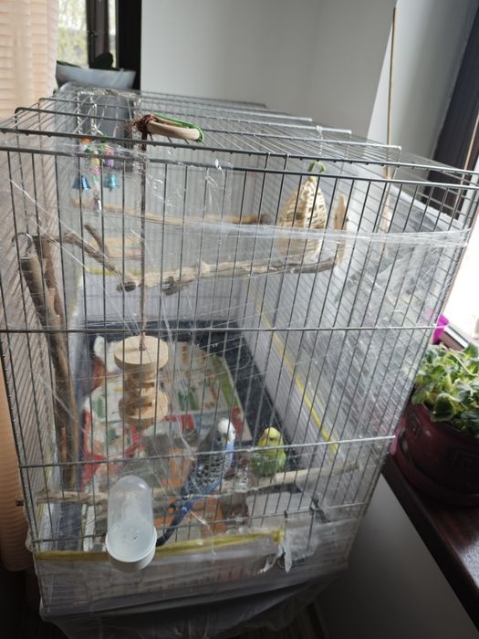 Colivie pentru papagali, peruși, nimfe etc