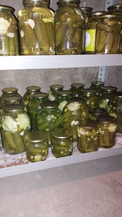 Маринованные огурчики