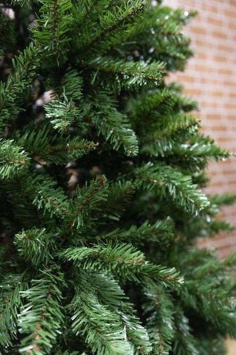 Ёлка Сибирь привозная импорт