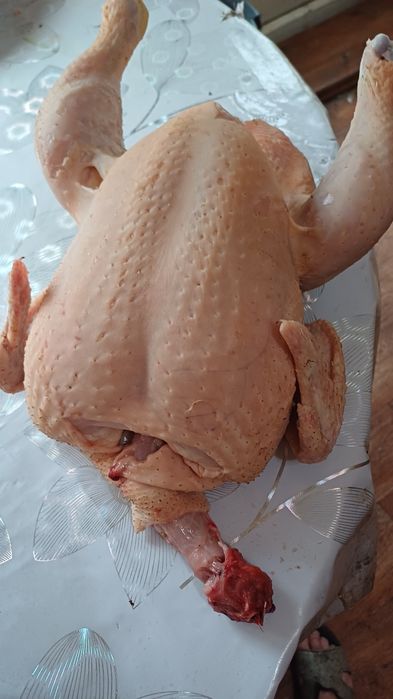 Продам мясо бройлера