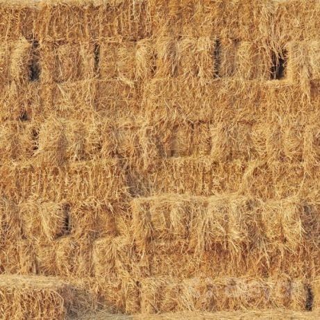 Сомон пресс бугдойники Тез сотилади