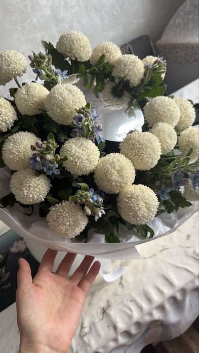 Цветы сегоняшнее срочно