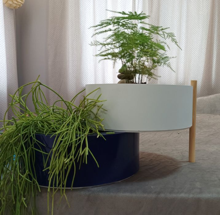 Терариум за плот