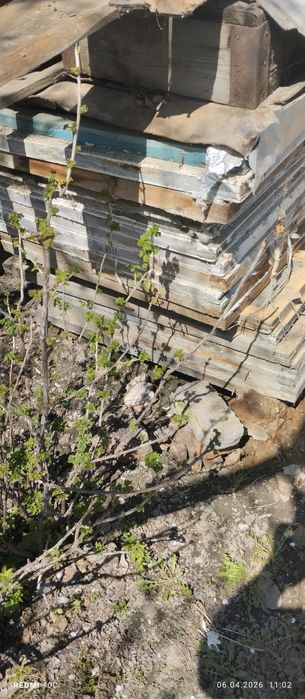 Бесплатно оконные рамы.