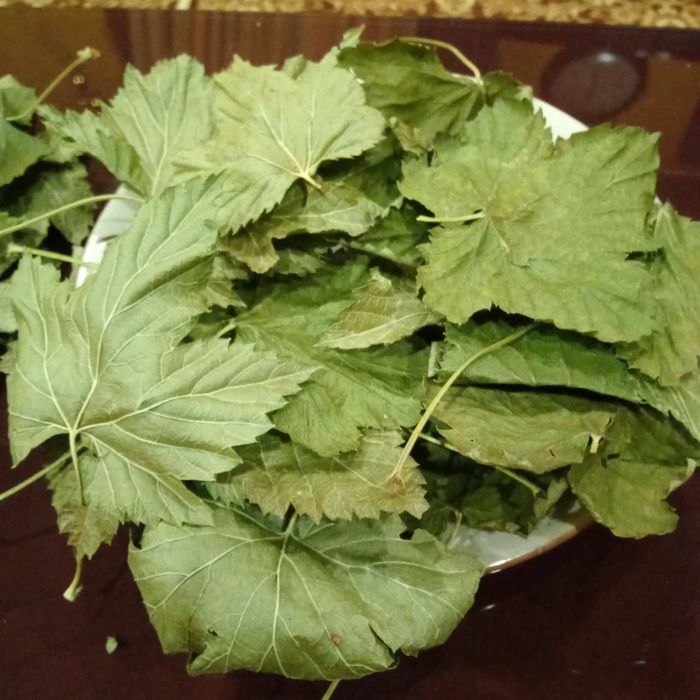 Мелисса,смородина листья