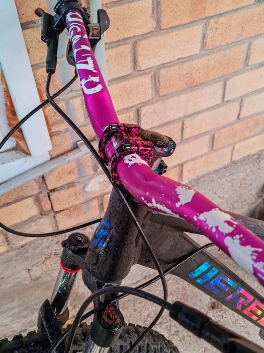 Велосипед Erec L 100