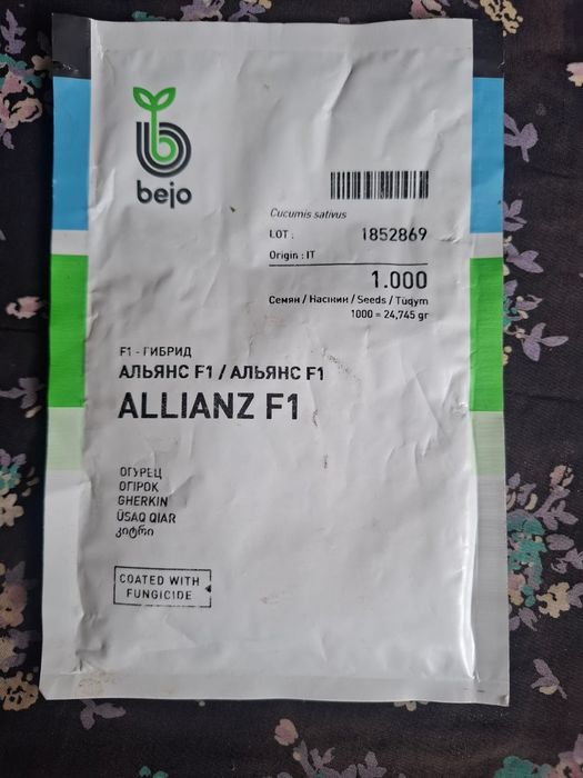 Семена огурцов аякс альянс