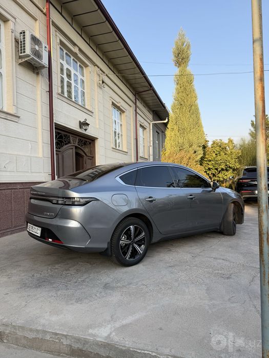 Byd chazor dm-i 120 tali 2024