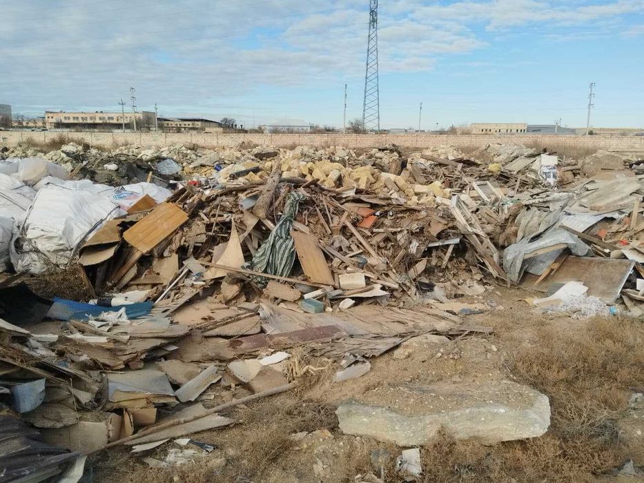 дрова (сухостой)