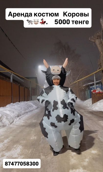 Воздушный костюмы на Прокат