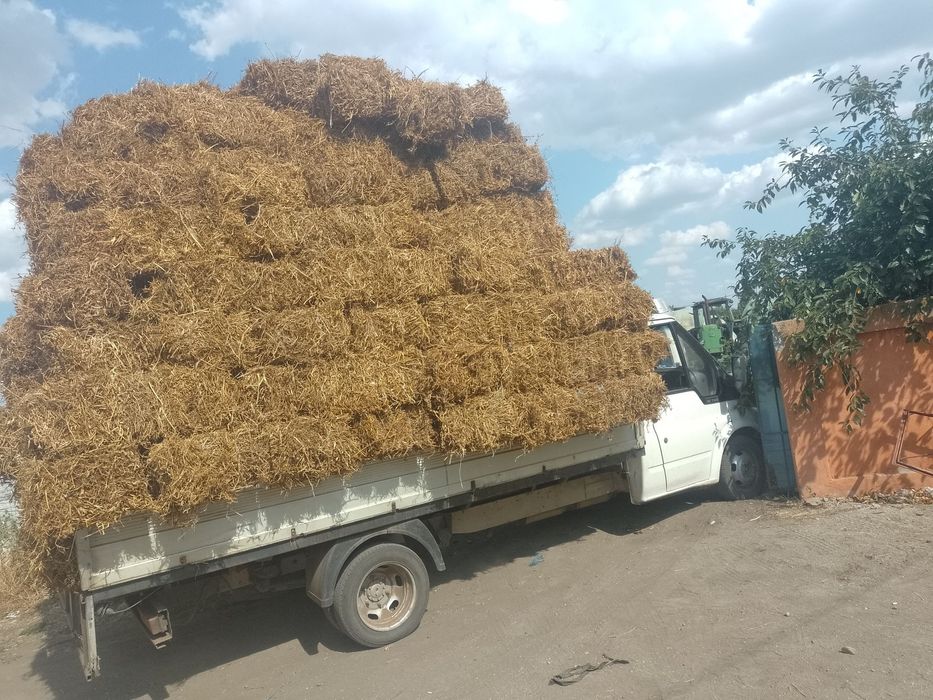 Baloti de Lucernā mazare si fin amestec Lucernanā